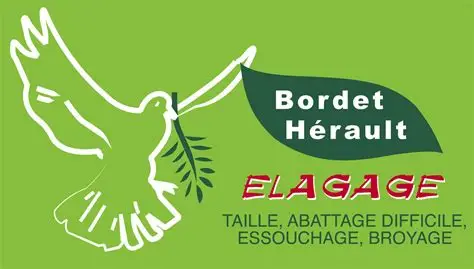 BORDET HERAULT ELAGAGE